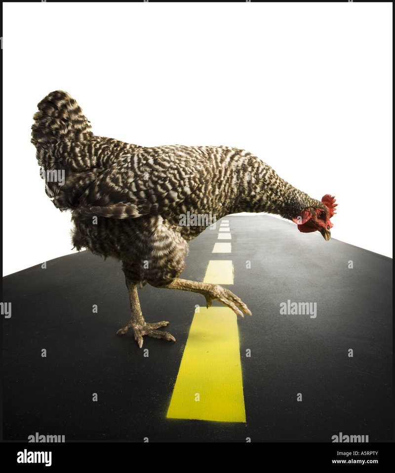 Entdecken Sie die Spannung auf der Hühnerroute - Das Casino-Spiel in Deutschland - overview