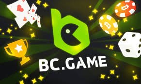 BC.CO Registration Process A Comprehensive Guide